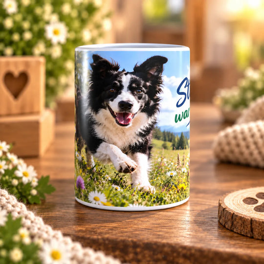 Keramiktasse mit schwarz-weißem Border Collie auf einer Blumenwiese und dem Spruch „Stillstehen war nie der Plan.“