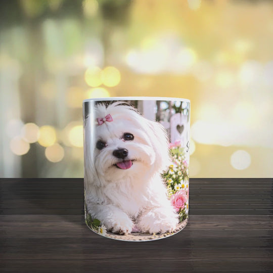 Video der Malteser-Tasse mit Blumenmotiv und Spruch aus verschiedenen Perspektiven