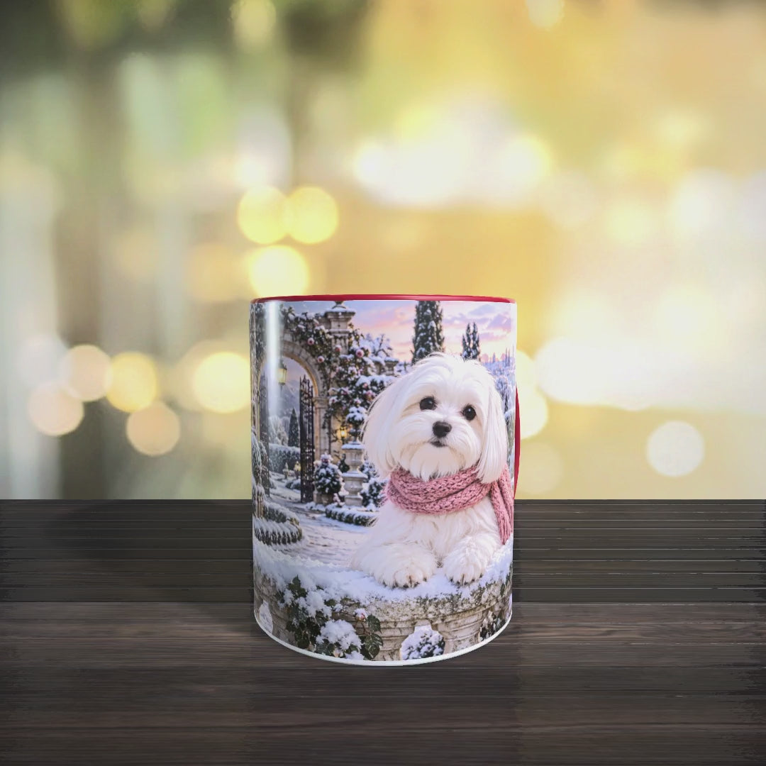 Video der Malteser-Tasse mit zwei weißen Hunden in altrosafarbenen Schals und einem verschneiten Rosengarten mit beleuchtetem Torbogen.