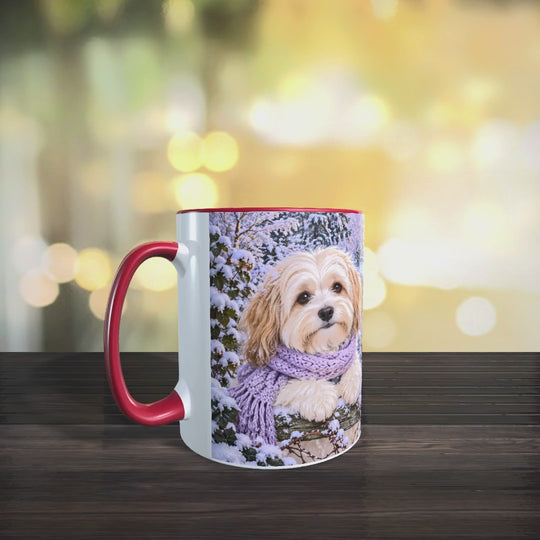 Video der Havaneser-Tasse mit zwei cremefarbenen Hunden in fliederfarbenen Schals und einem beleuchteten Wintergarten in verschneiter Gartenlandschaft.